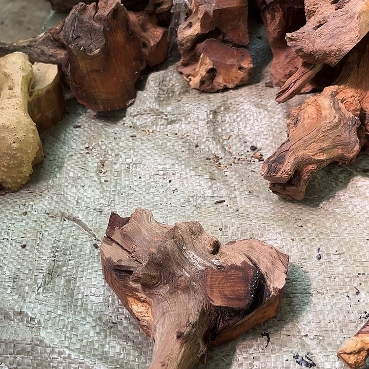 香榧木麻梨等经济作物生长