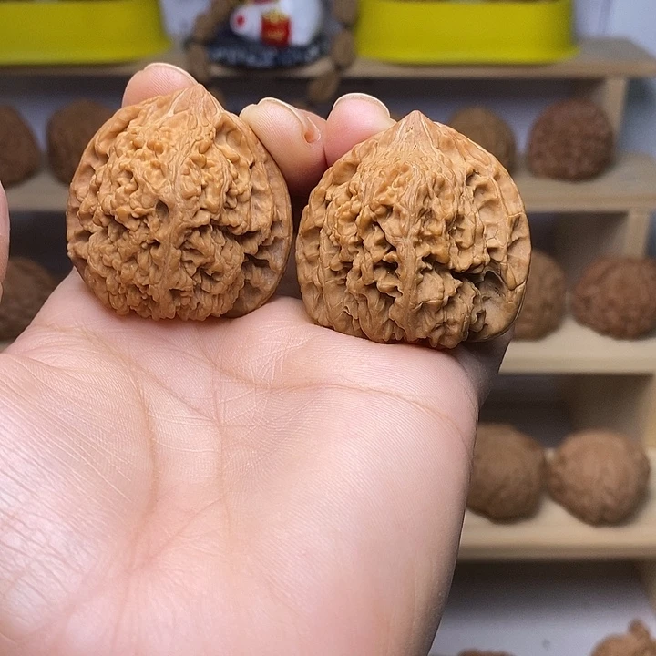 核桃40尺满天星手疗神器