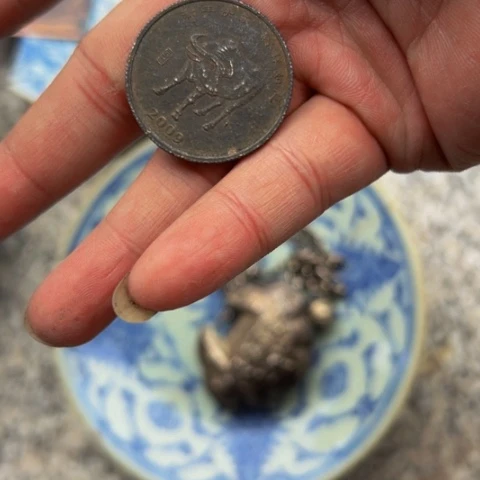 杂色豆（科檀/科特迪瓦檀木）呵**呵