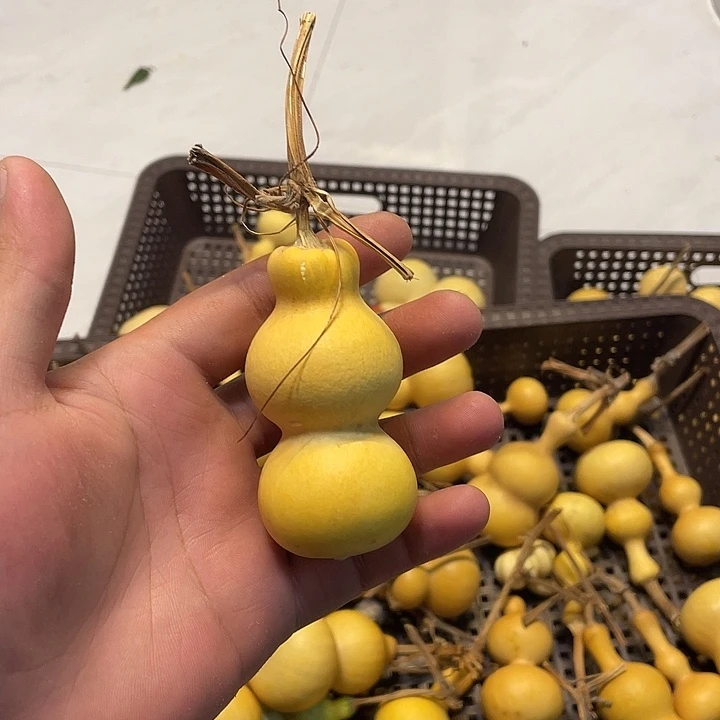鄠***刘感谢大哥支持兄弟