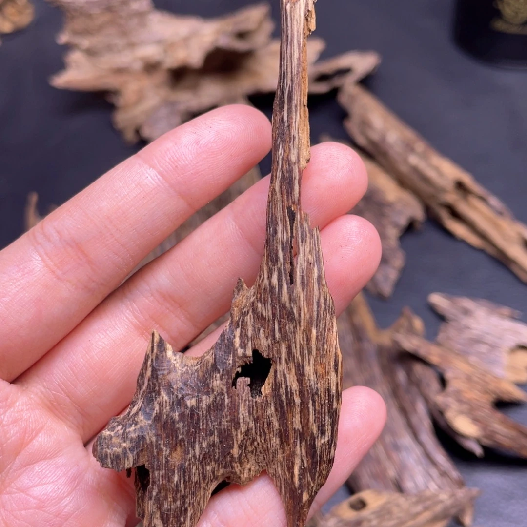 香榧木3克海南尖峰岭树心老虫漏