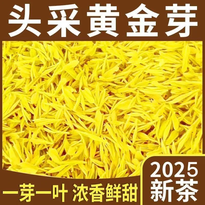 25年新茶正宗明前纯花果香黄金芽绿茶茶叶 高山短芽鲜爽甘甜绿茶