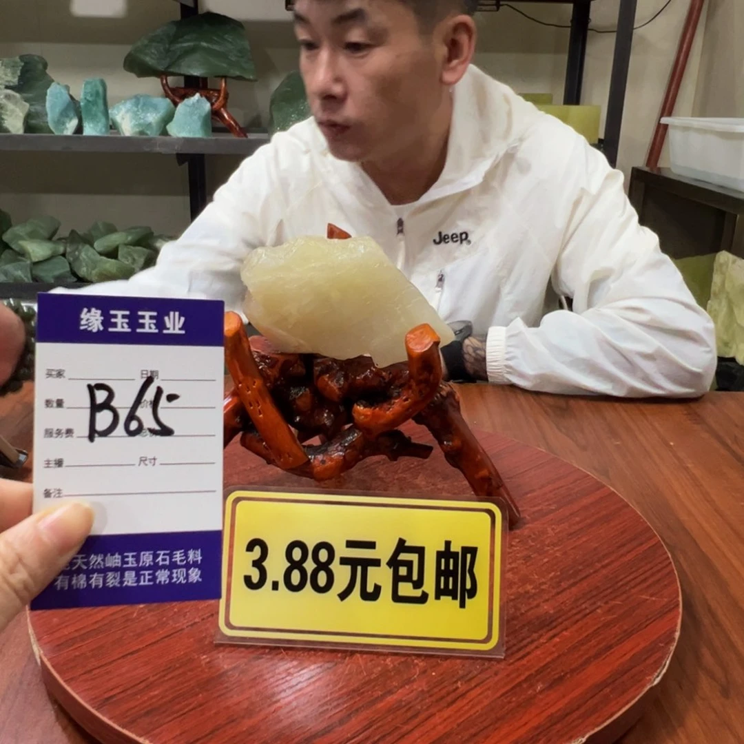 蛇纹石玉未镶嵌原石B65