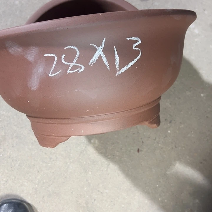 周深周深周深周深走
