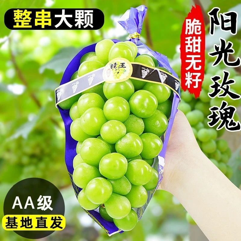 阳光玫瑰晴王葡萄青提大果无核无籽当季现货孕妇新鲜水果盒装
