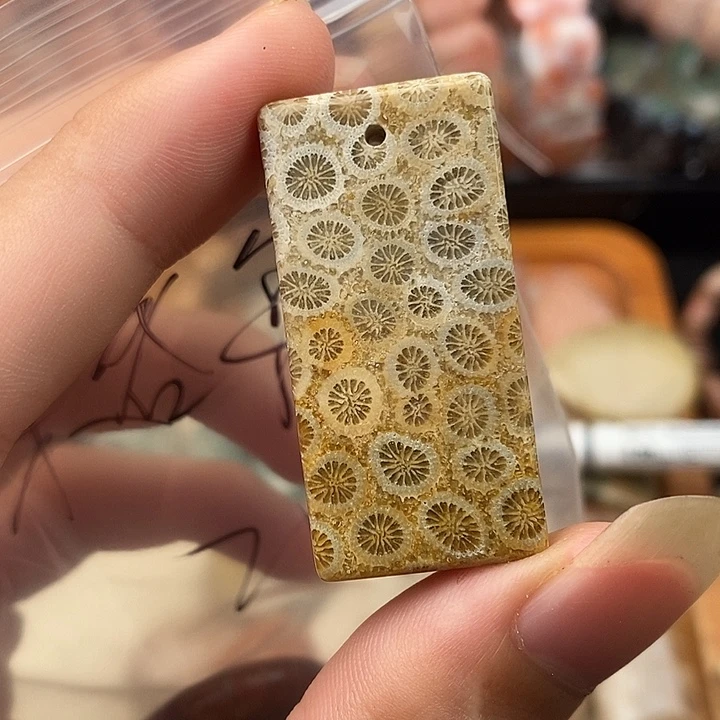 格***鲁硅化玉颈饰未镶嵌
