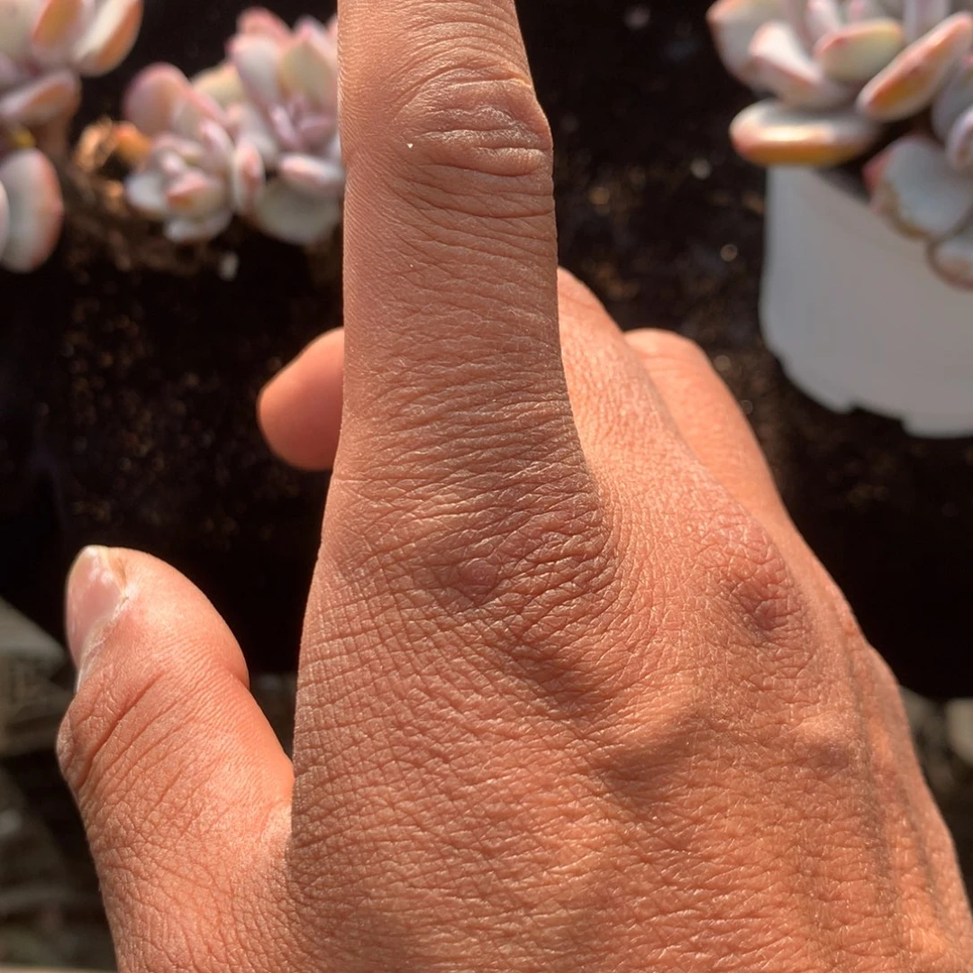 芳***上你说是谁在的了吧在