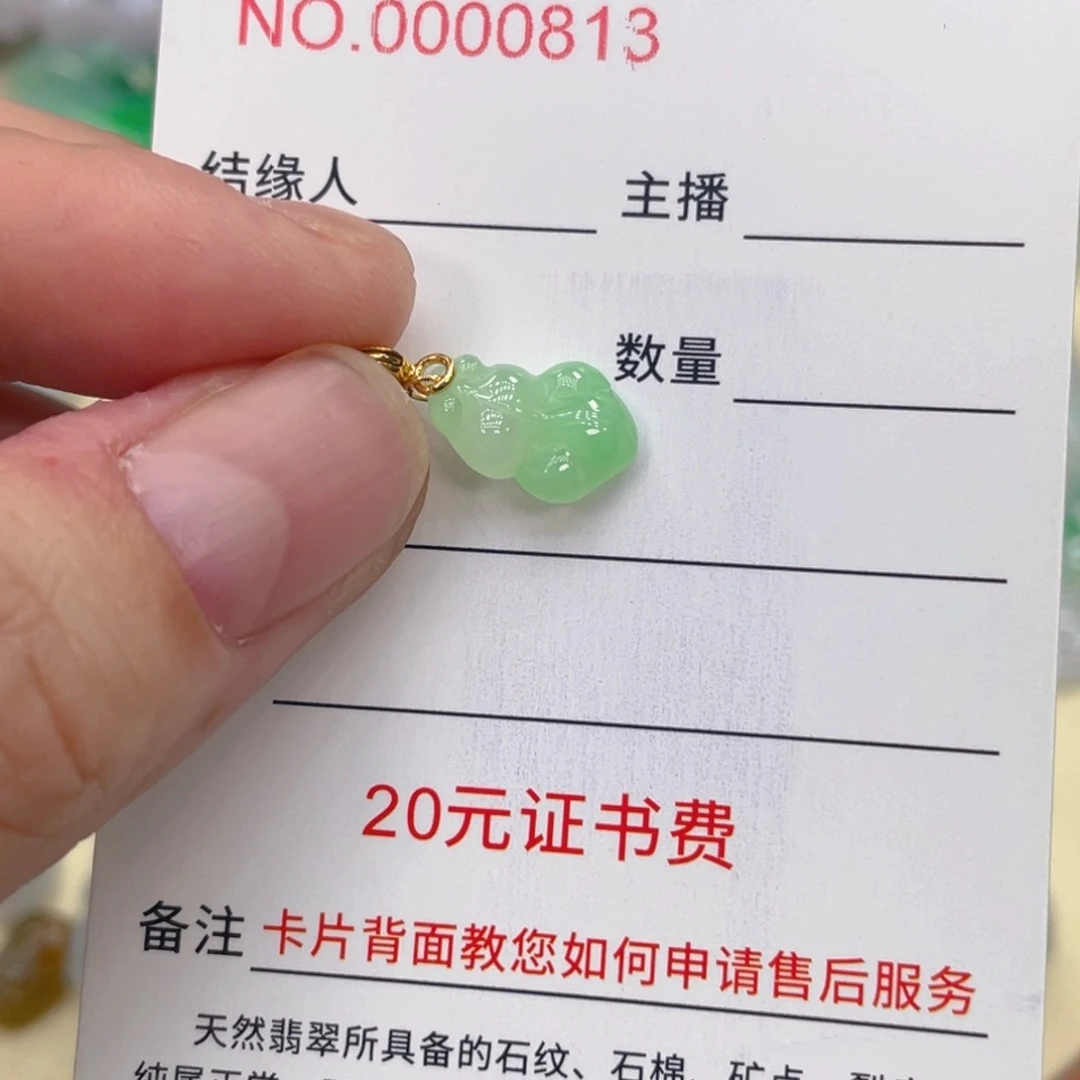 翡翠未镶嵌颈饰888888888