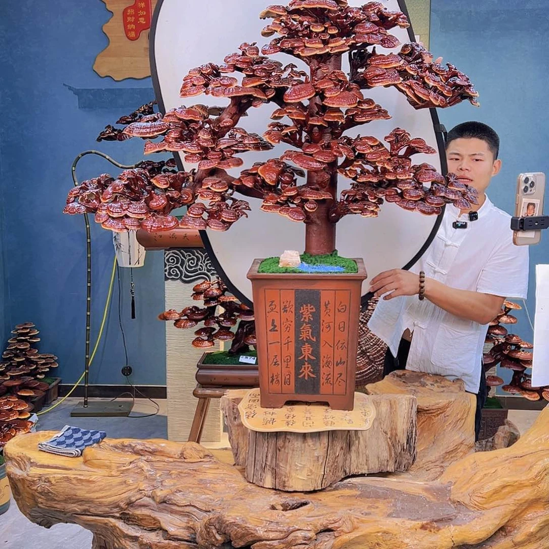 无花朵8888888888888888888888
