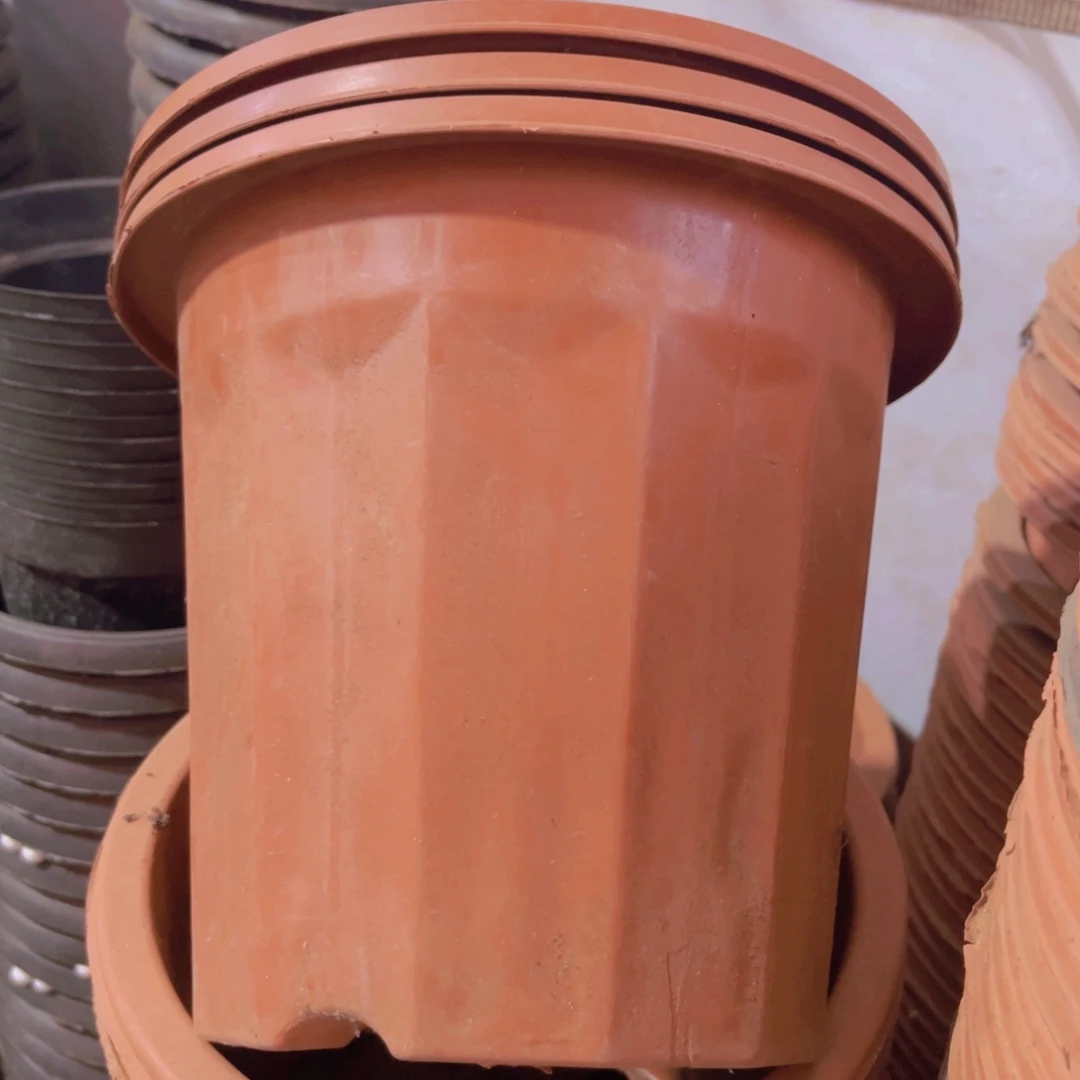 旧口径19 高度16 红砖盆10个
