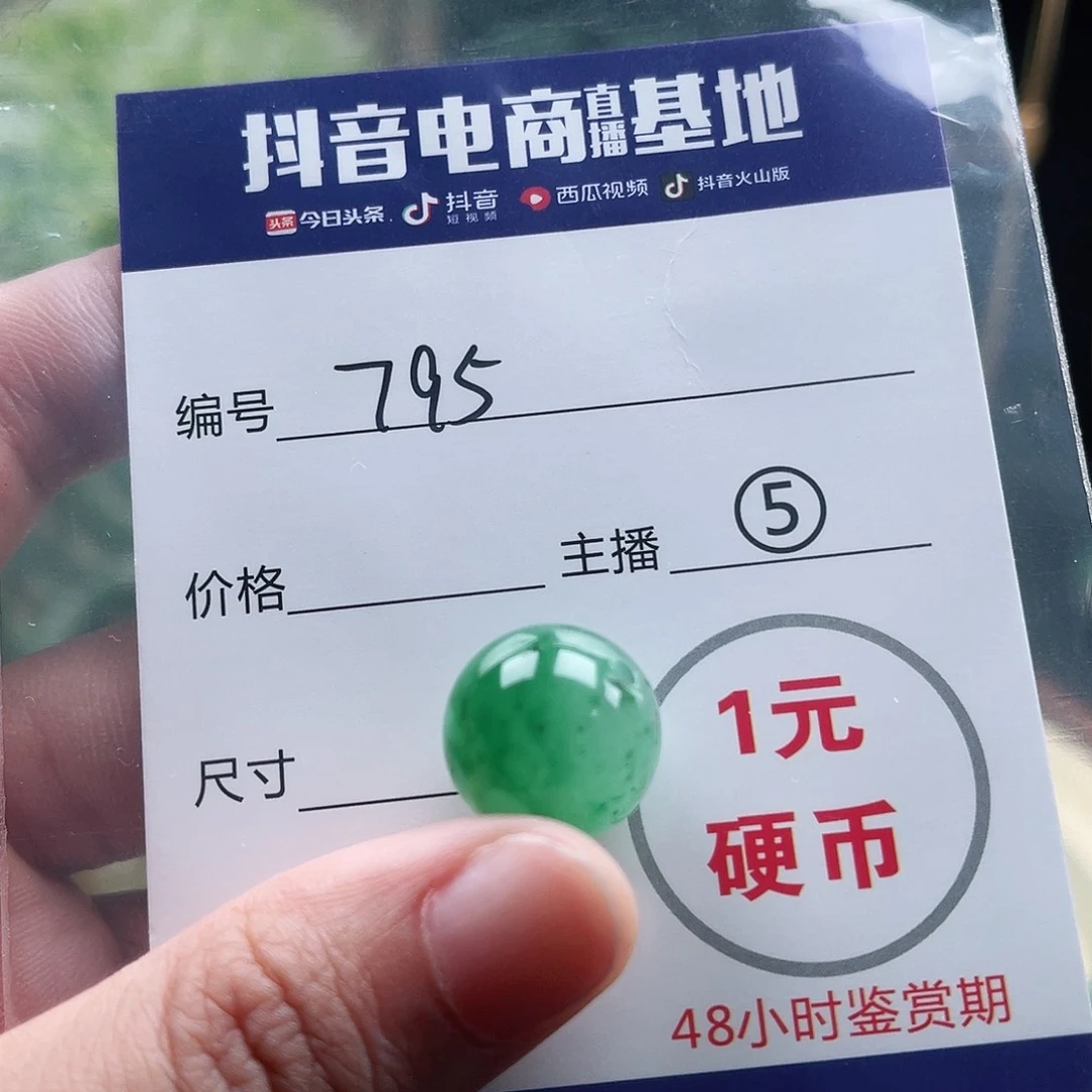 石英质玉未镶嵌颈饰
