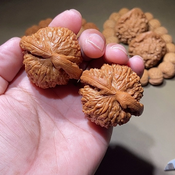 把件文玩核桃白狮子