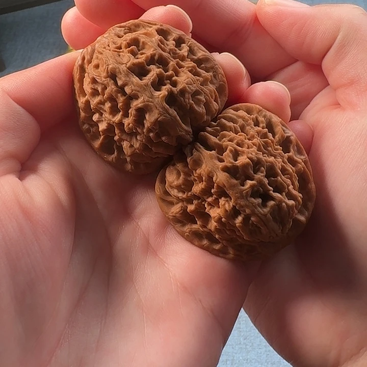 文玩核桃把件边肚43