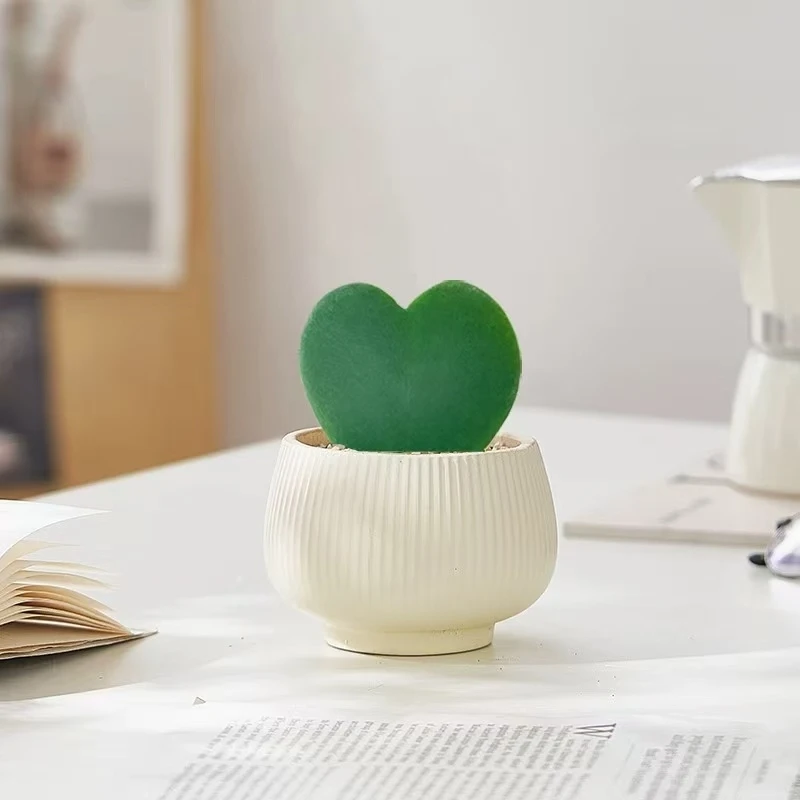 心叶球兰盆栽搭配大肚盆白沙接水盘适合室内桌面摆放