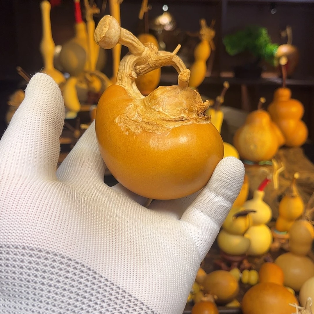 一***你葫芦头的做法是用来做的吗哈哈笑而不自知的