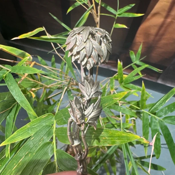 欲山行 一鸣惊人白铜茶针