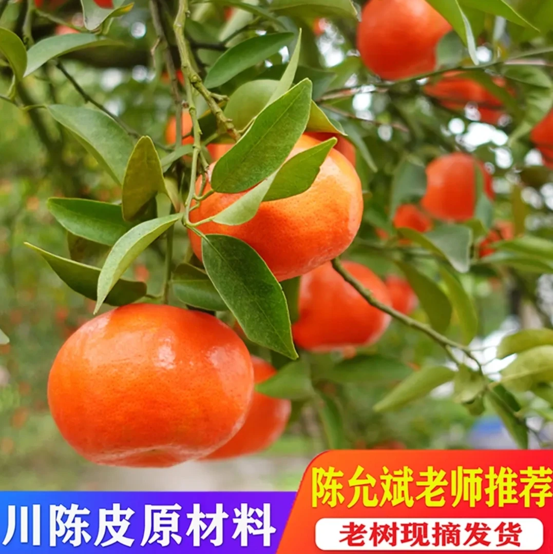 古红橘桔子大红袍红皮陈皮当季新鲜孕妇