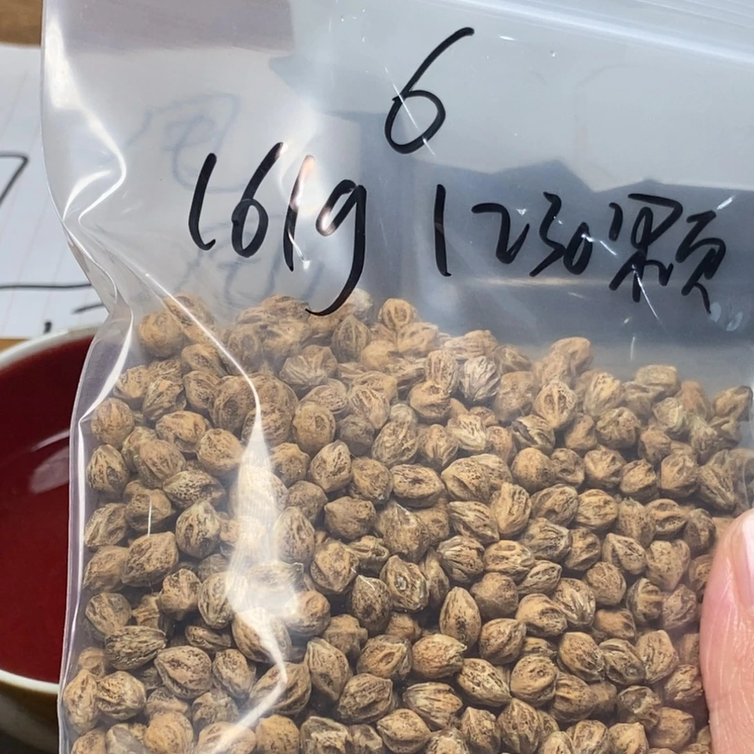 柏香籽/百香籽吊坠