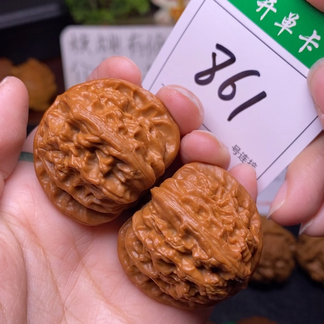 把件文玩核桃861白狮子4.0