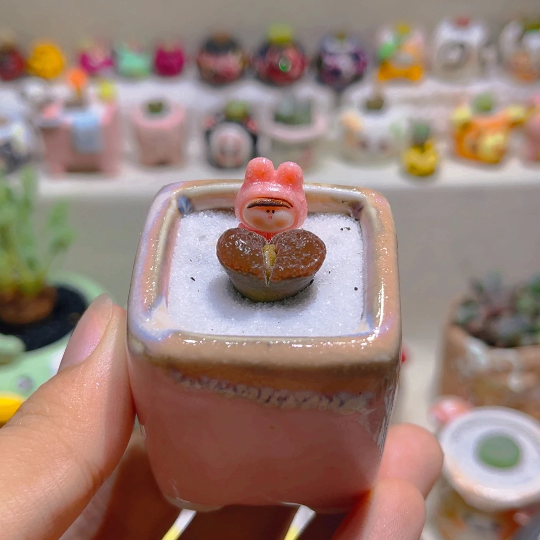 026超级蛋糕风铃带盆带土