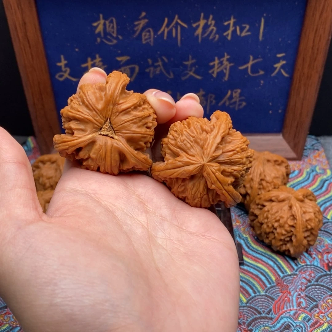 【闪购商品】大*白狮