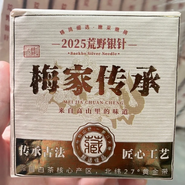 2025年荒野银针砖100g梅家传承