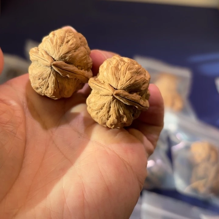 吊坠文玩核桃龙牙石