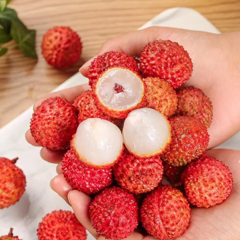 广东桂味荔枝当季新鲜水果香甜多汁