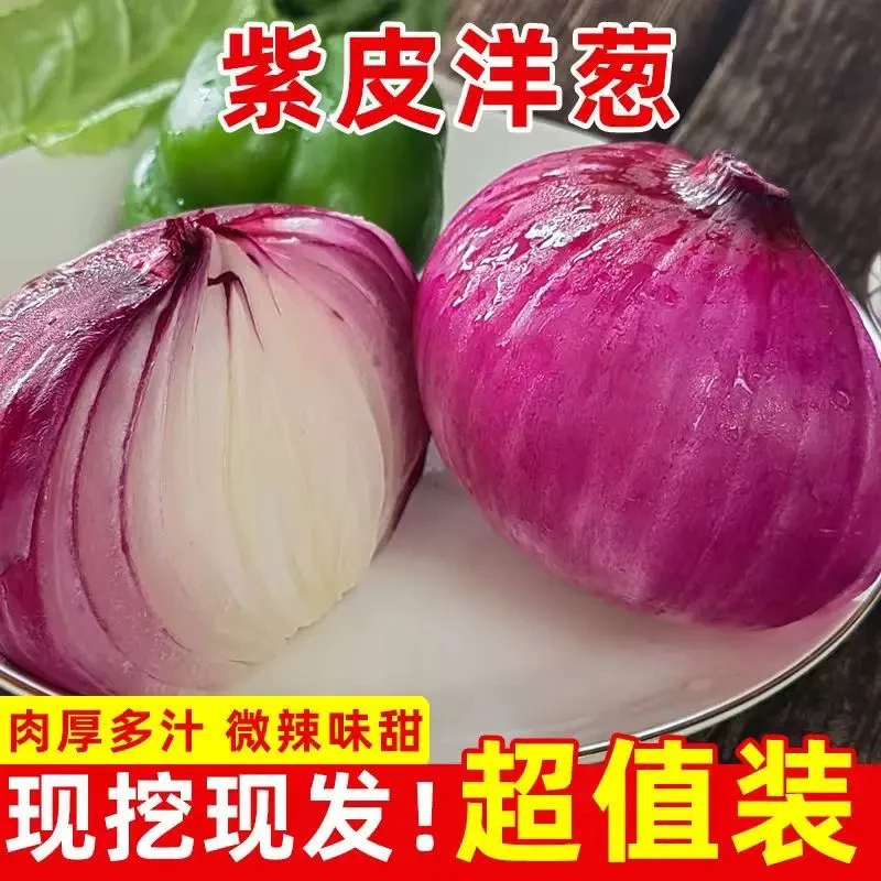 云南红河紫皮水果洋葱300g起带箱装小圆葱小洋葱生吃时令蔬菜