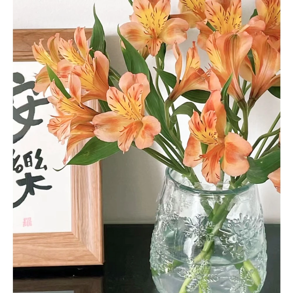 云南橙色10支/把水仙百合鲜切花3把基地现采现发