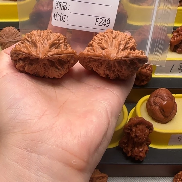 抹***鲸核桃蛇王蛇王蛇王51