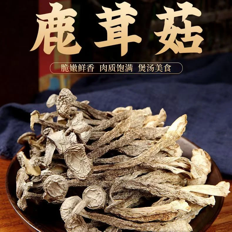 正宗云高山鹿茸菇菇干货自然晾晒干净无根可炖汤