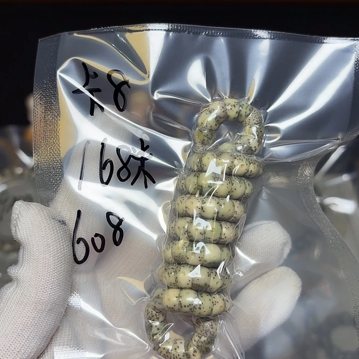 星月菩提手串星月菩提608