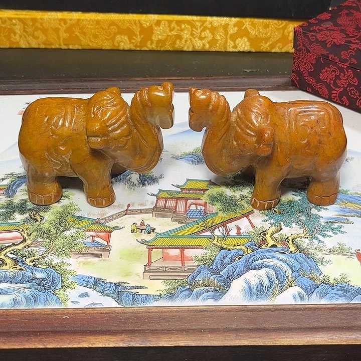 底槽青一物一图发货，支持七天无理由