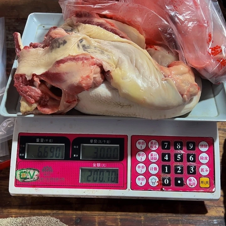 广西马山黑山羊羊肉中国大陆