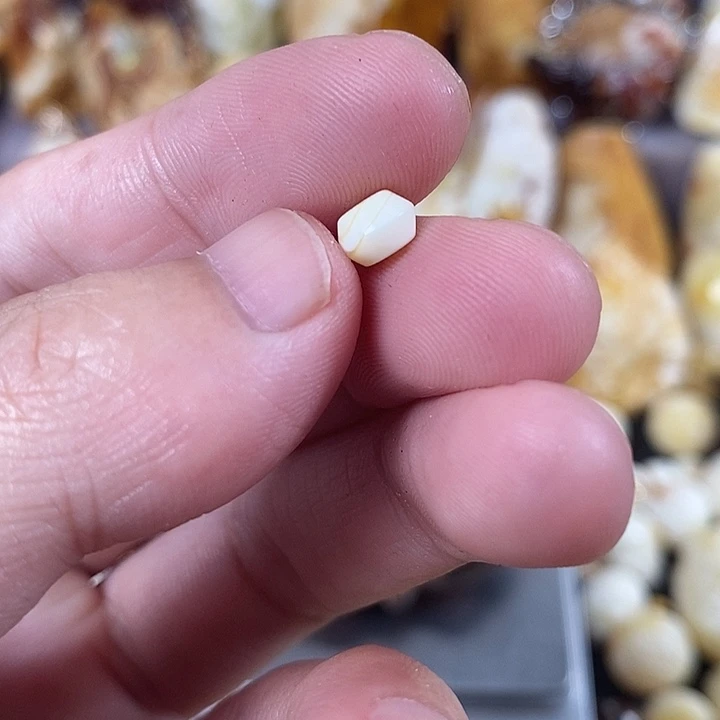 裸石琥珀未镶嵌我