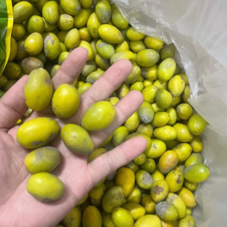 潮汕新鲜花皮三捻橄榄三凌橄榄生吃煲汤橄榄