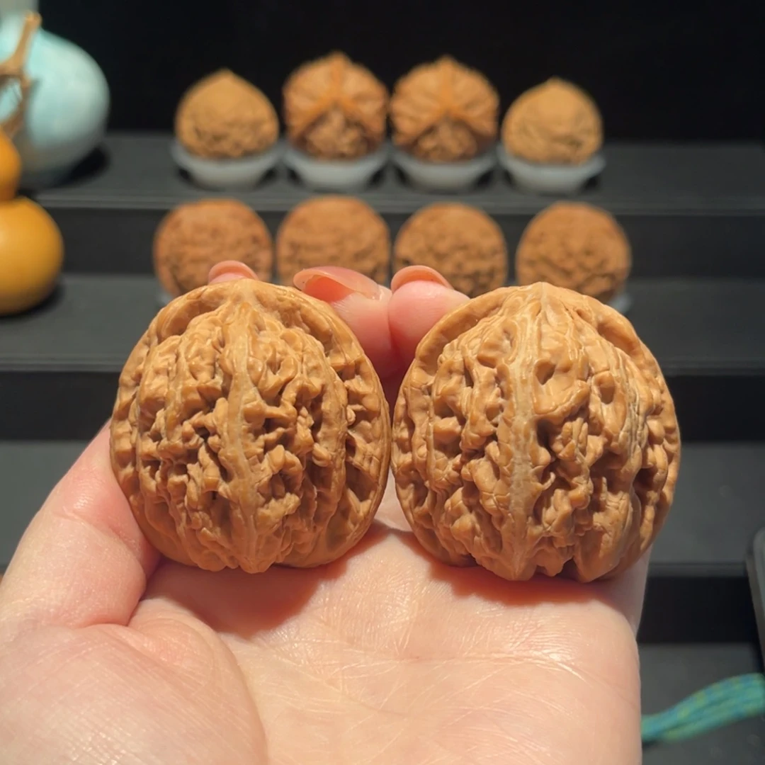 l***e红锦鲤44精品，全品548