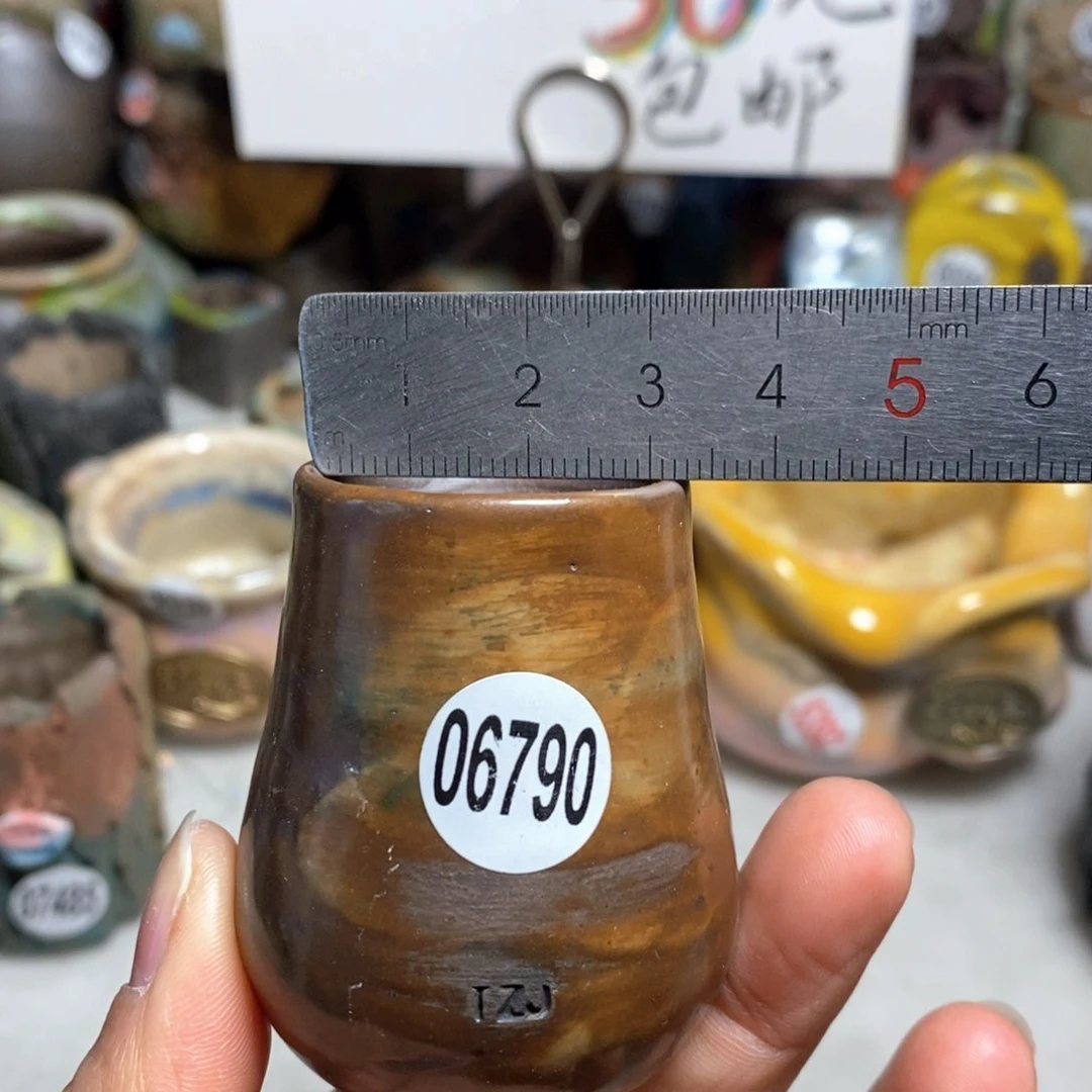 花盆拍5送一个小礼物