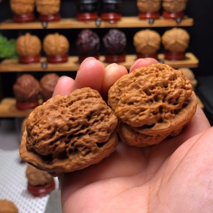 【闪购商品】金蝉蛹32