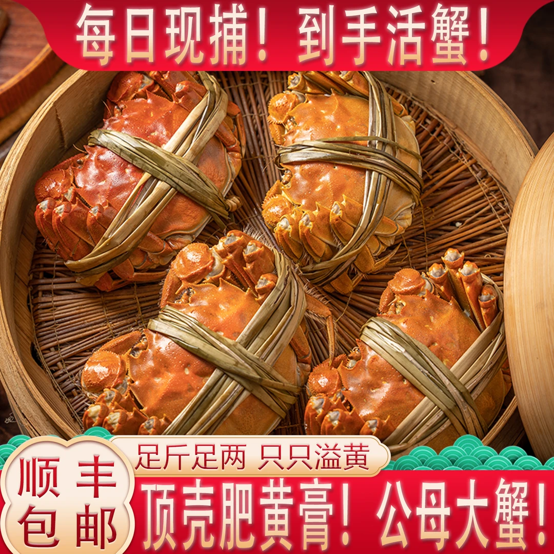 【活蟹鲜活】母蟹4.0两+公蟹4.0两 10只 江苏大湖蟹精品成熟送礼G10