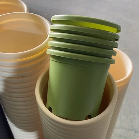 树脂口径14果绿10个无托