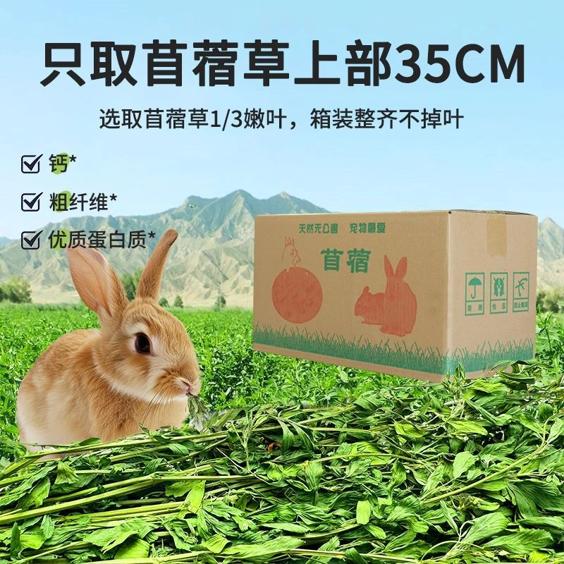 烘干紫花苜蓿草 兔子龙猫荷兰猪幼兔专用牧草饲料