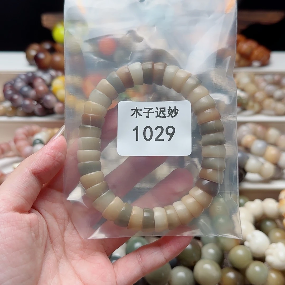 吊坠菩提根/象牙果菌*1029