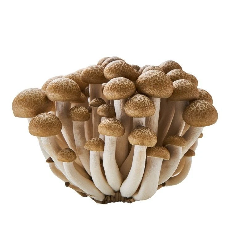 蟹味菇约125g/袋