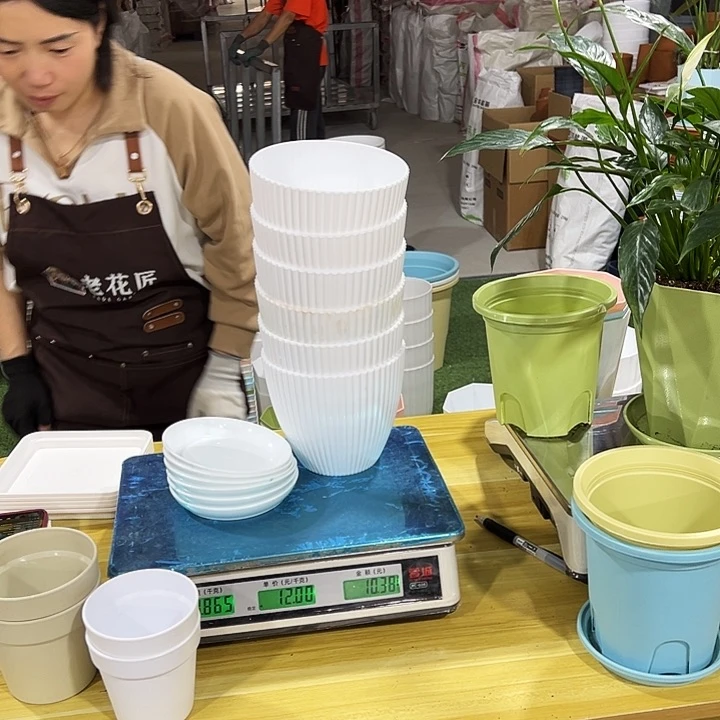 竖纹白色口15高13带拖6只