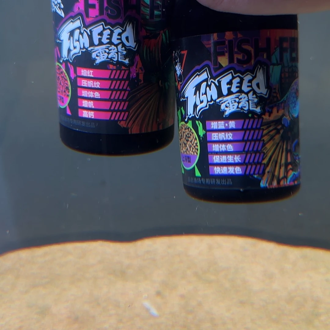 热带鱼公10111111111