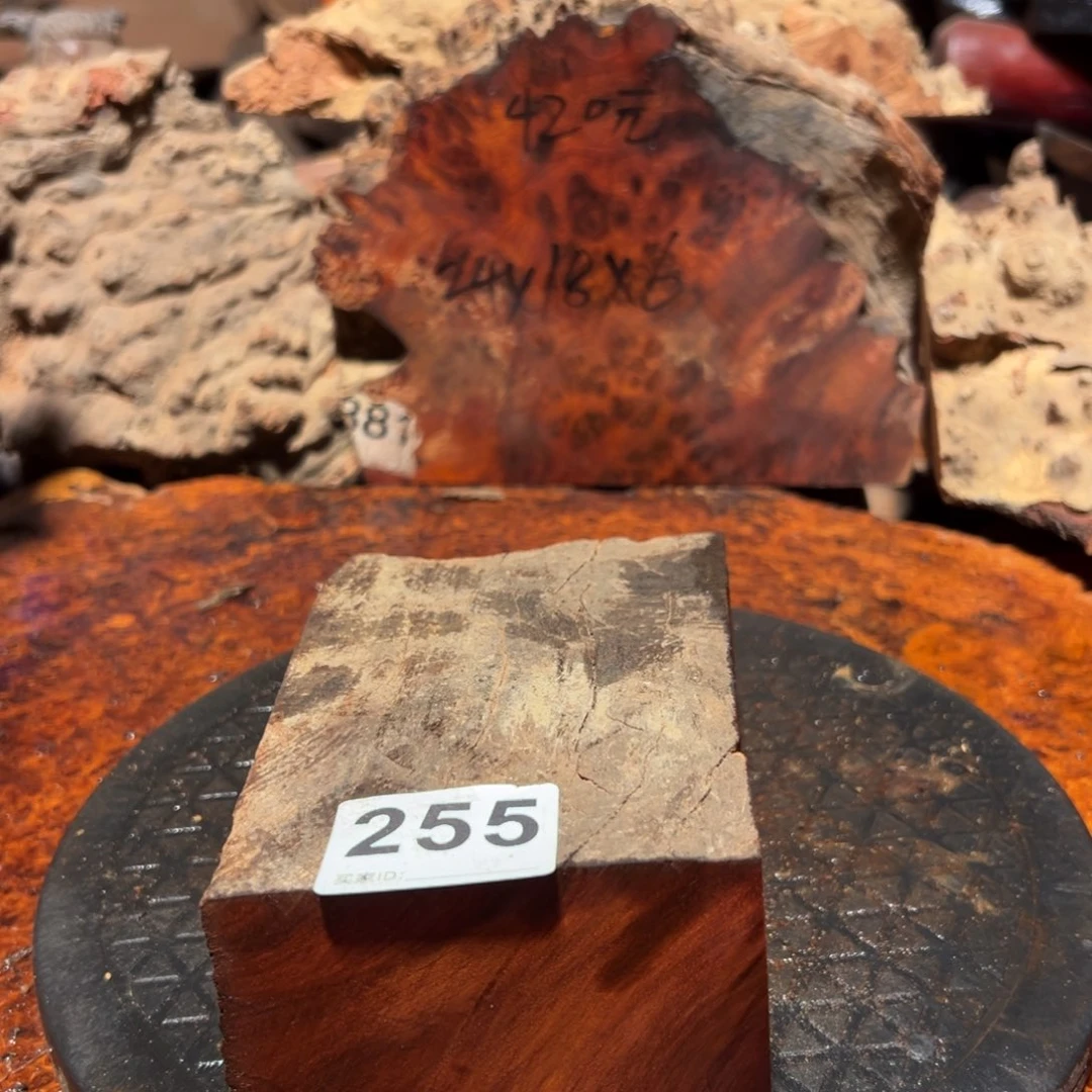 大果紫檀（缅甸花梨）