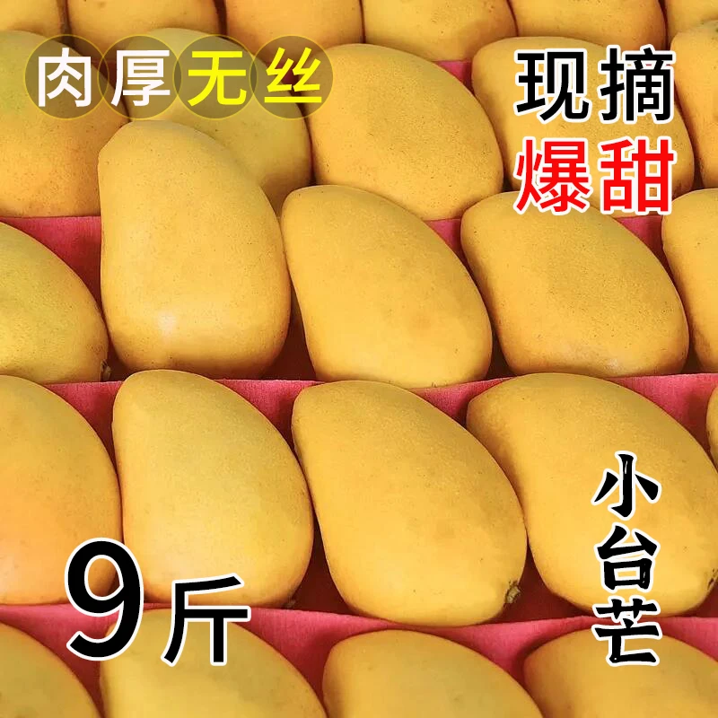 广西正宗百色芒果产地直发当季现摘小台农芒果味浓香甜时令水果甜