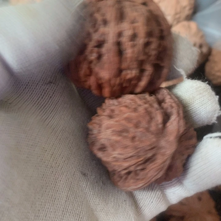 把件文玩核桃瑶**及四座楼狮子头